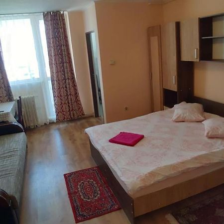 Flora Apartament Apartment Satu Mare Exterior photo