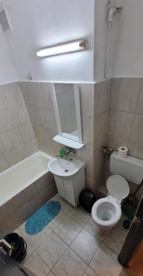 Flora Apartament Apartment Satu Mare Exterior photo