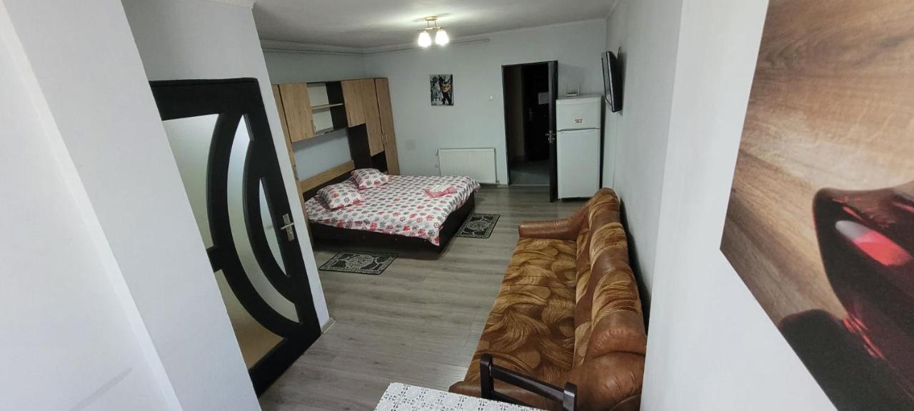 Flora Apartament Apartment Satu Mare Exterior photo